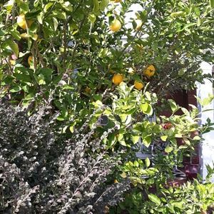 Meet your Posher, Bernice